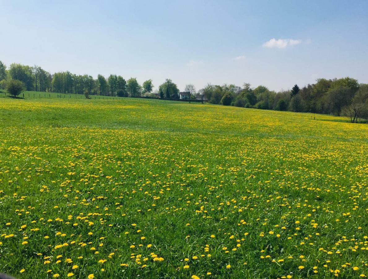 مونشاو Ferienhaus Am Menzerather Weiher المظهر الخارجي الصورة